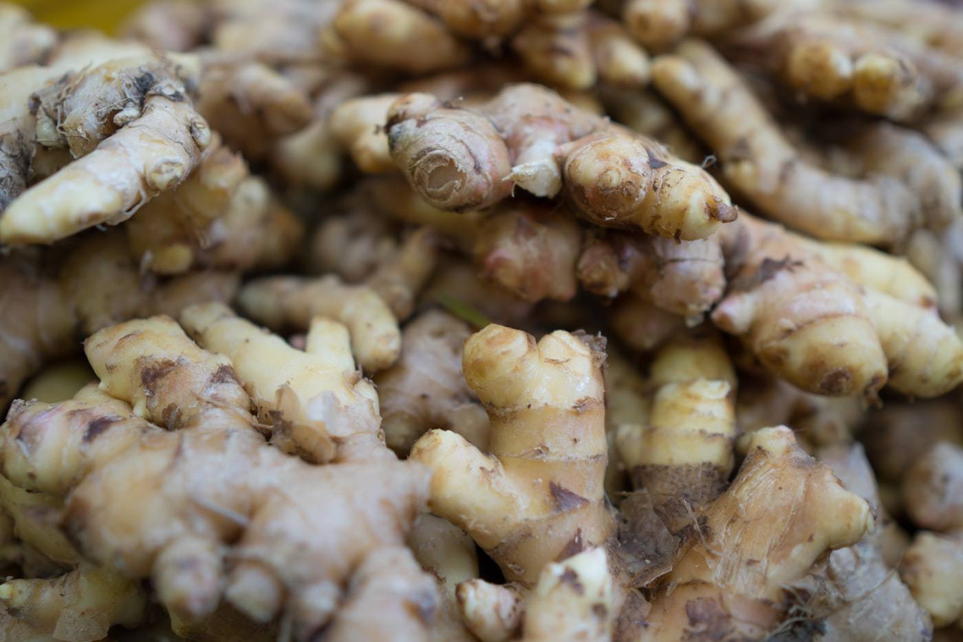 Fresh ginger root
